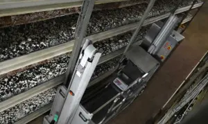 Ile kosztuje budowa pieczarkarni? Poznaj ukryte wydatki i oszczędności