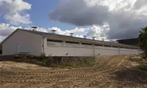 Ile kosztuje budowa chlewni? Poznaj szczegółowy kosztorys