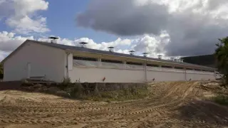 Ile kosztuje budowa chlewni? Poznaj szczegółowy kosztorys